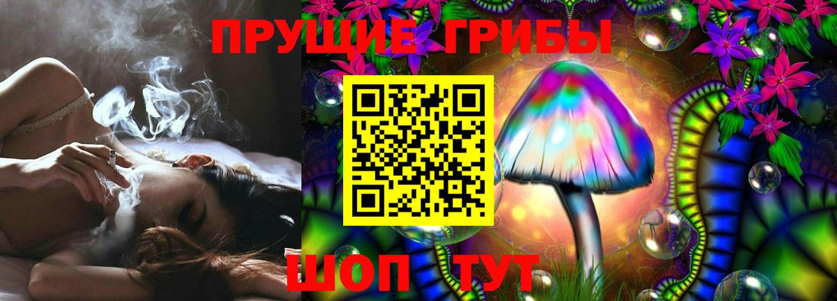 Псилоцибиновые грибы ЛСД  Вход с VPN  Сатка  Псилоцибиновые грибы MAGIC MUSHROOMS 